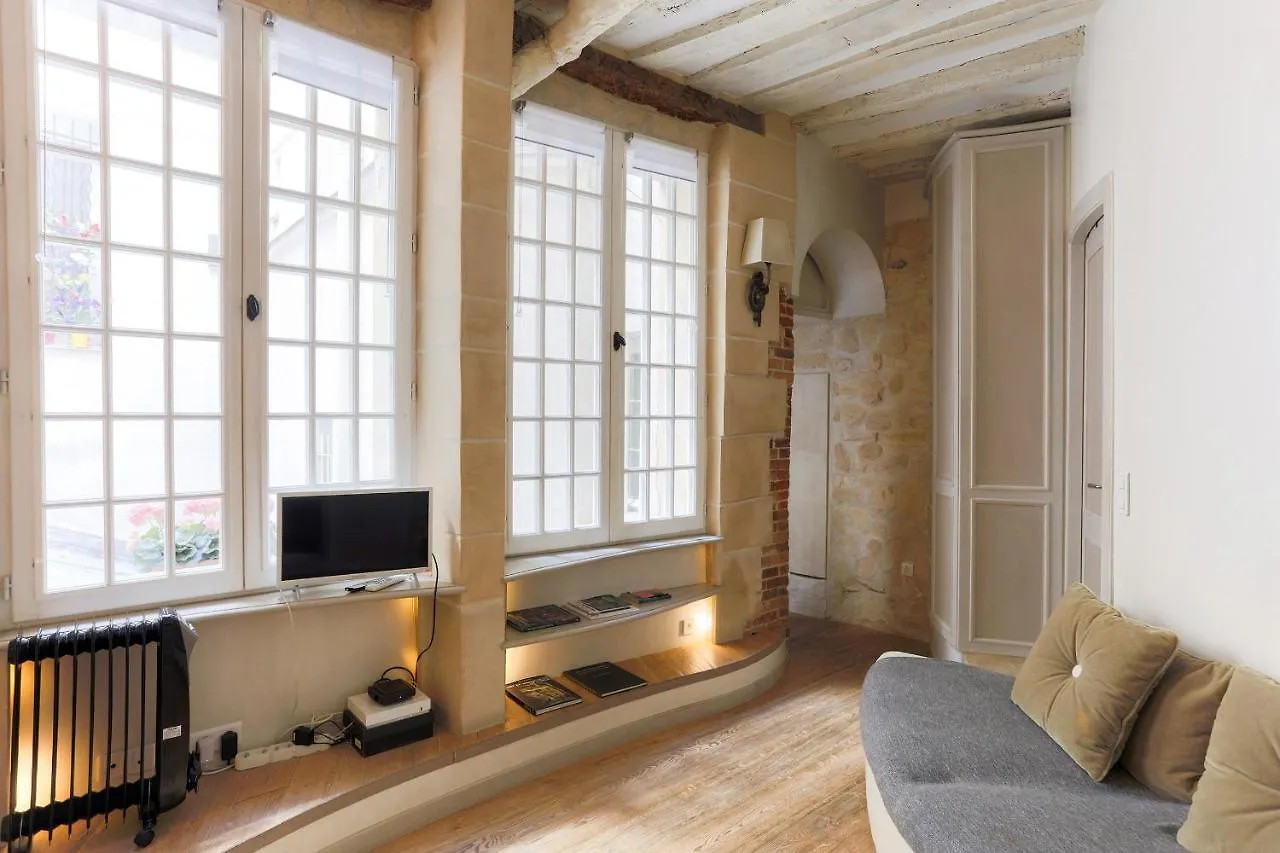 Louvre Apartment Paris